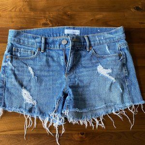 LOFT distressed denim shorts